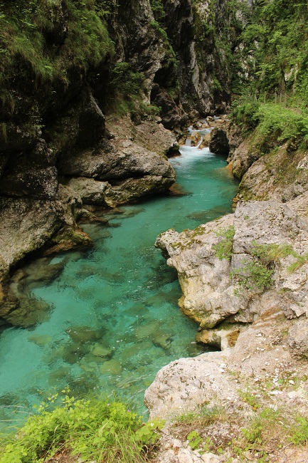 Tolminska korita